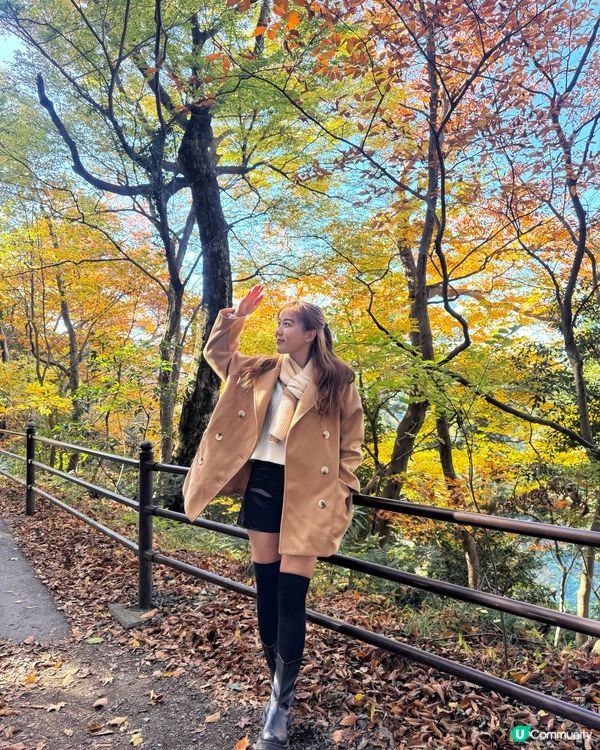 最近旅遊打卡熱點