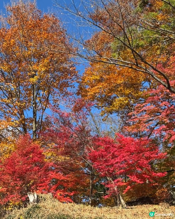 最近旅遊打卡熱點