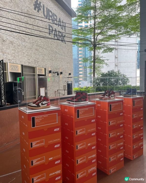 ComplexCon大型藝術裝置移師希慎廣場 