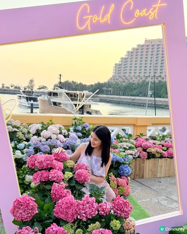 黃金海岸繡球花節🌸只限5日！