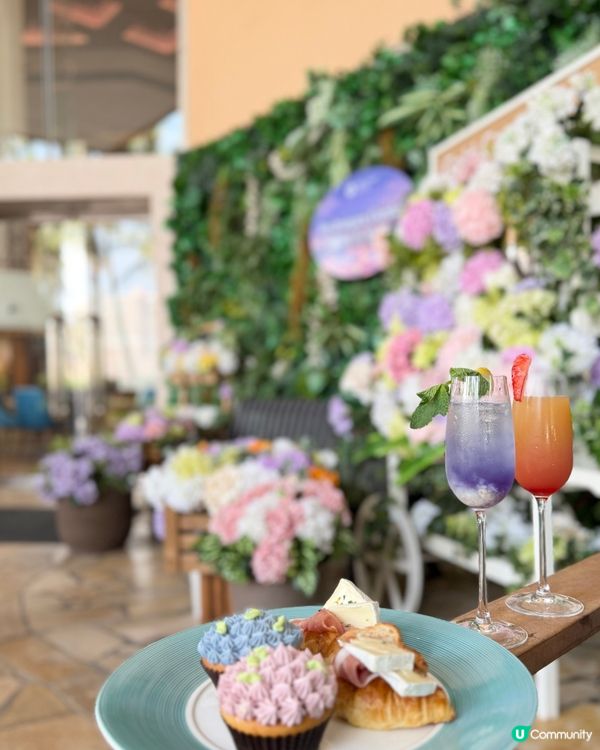 黃金海岸繡球花節🌸只限5日！