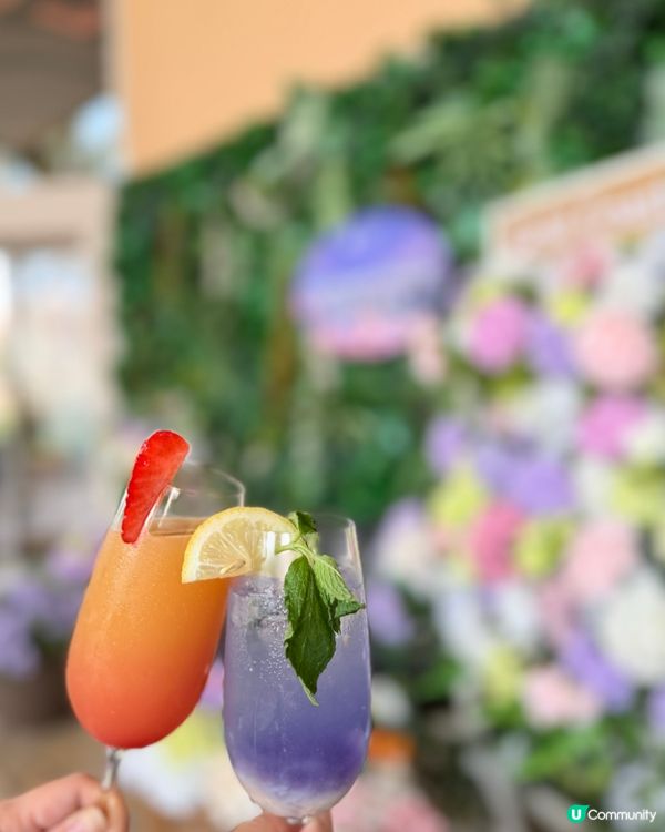 黃金海岸繡球花節🌸只限5日！