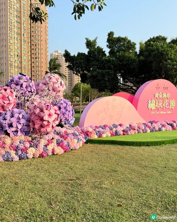 黃金海岸繡球花節🌸只限5日！