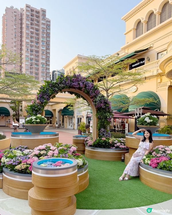 黃金海岸繡球花節🌸只限5日！