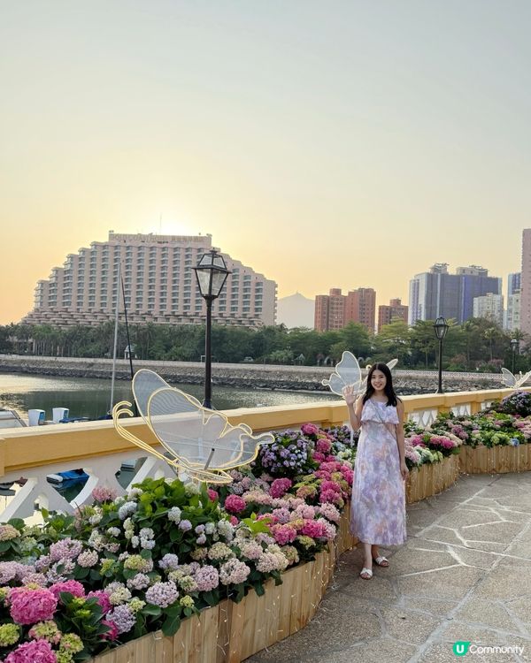 黃金海岸繡球花節🌸只限5日！