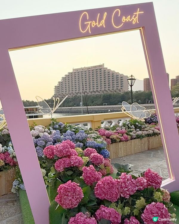 黃金海岸繡球花節🌸只限5日！