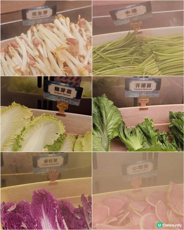 #不得了之海鮮放題