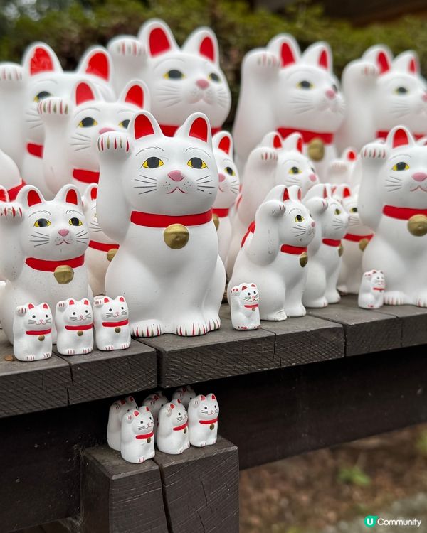 東京落機後第一餐居酒屋～
