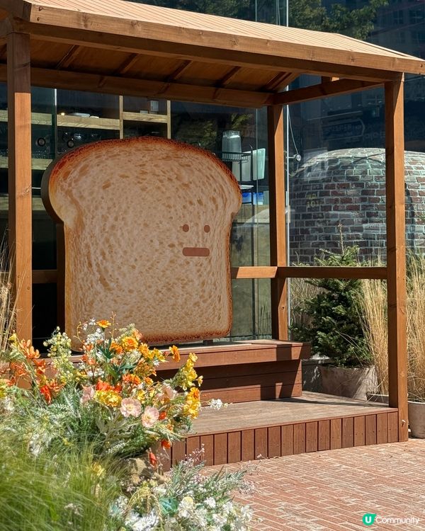 🇰🇷釜山standard bread探店