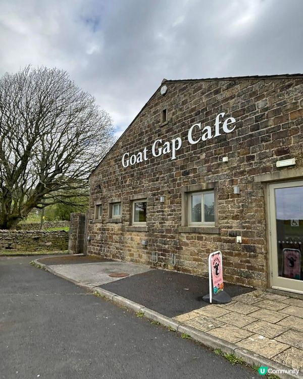 英國遇見櫻花的羊羊咖啡店