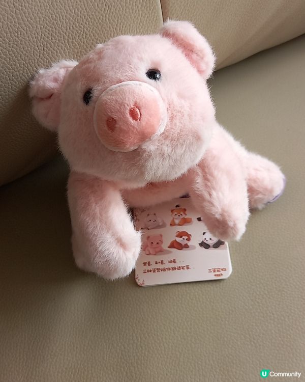 呢隻扭蛋猪做得很有誠意