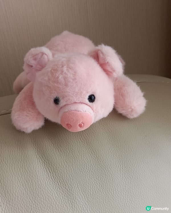 呢隻扭蛋猪做得很有誠意