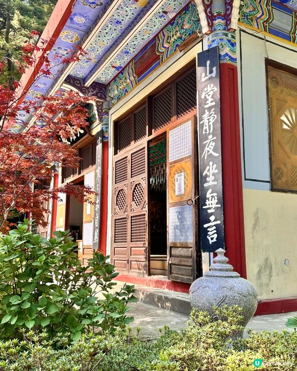 🇰🇷 釜山太宗臺秘境｜靜靜祈願的「太宗寺」🕯️