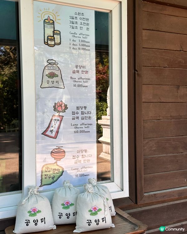 🇰🇷 釜山太宗臺秘境｜靜靜祈願的「太宗寺」🕯️