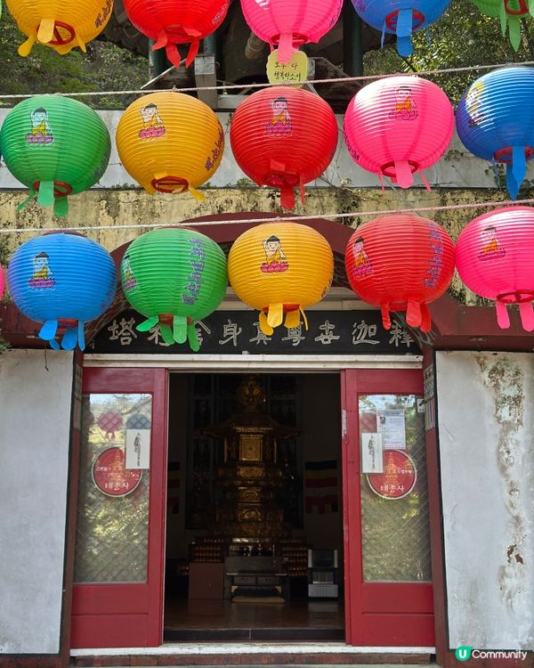 🇰🇷 釜山太宗臺秘境｜靜靜祈願的「太宗寺」🕯️