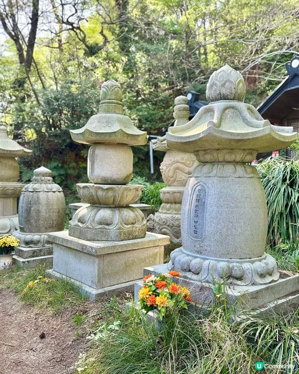 🇰🇷 釜山太宗臺秘境｜靜靜祈願的「太宗寺」🕯️
