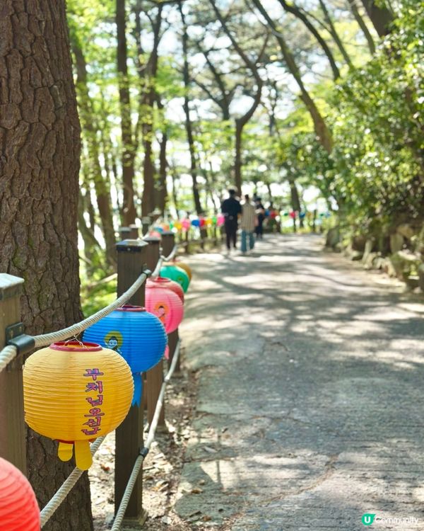 🇰🇷 釜山太宗臺秘境｜靜靜祈願的「太宗寺」🕯️