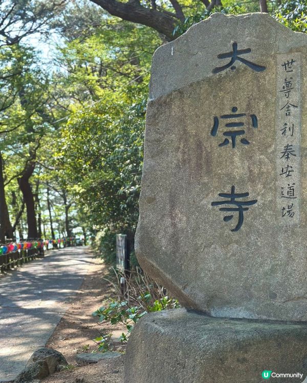 🇰🇷 釜山太宗臺秘境｜靜靜祈願的「太宗寺」🕯️