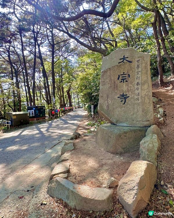 🇰🇷 釜山太宗臺秘境｜靜靜祈願的「太宗寺」🕯️