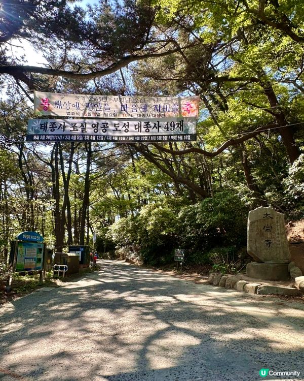 🇰🇷 釜山太宗臺秘境｜靜靜祈願的「太宗寺」🕯️