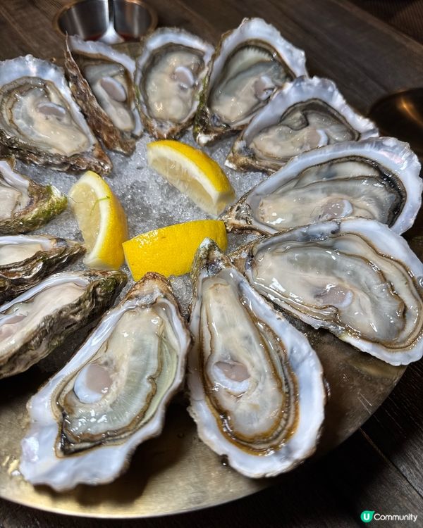 旺角新派韓式料理+無限任叫$10生蠔