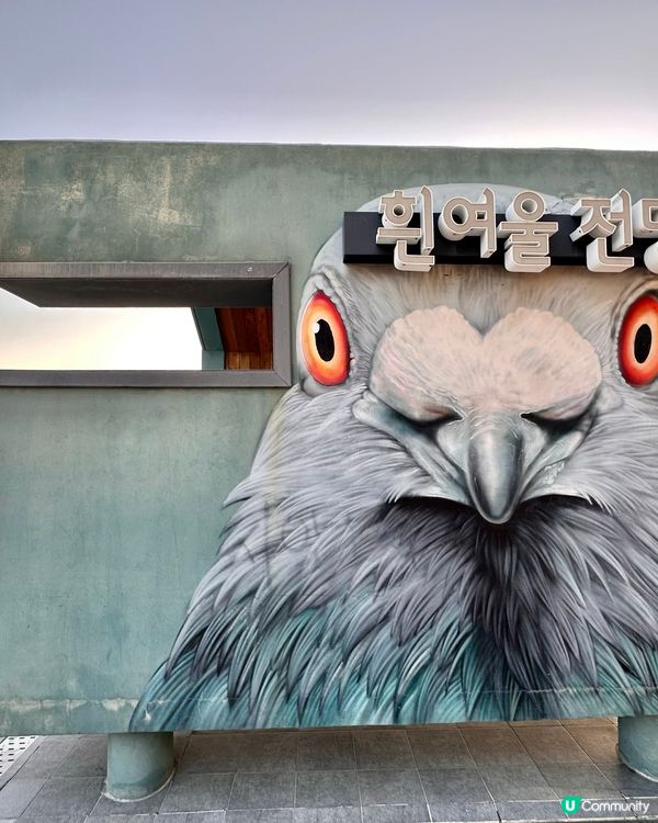 🇰🇷釜山白淺灘文化村｜海景咖啡＋特色小店＋日落美景