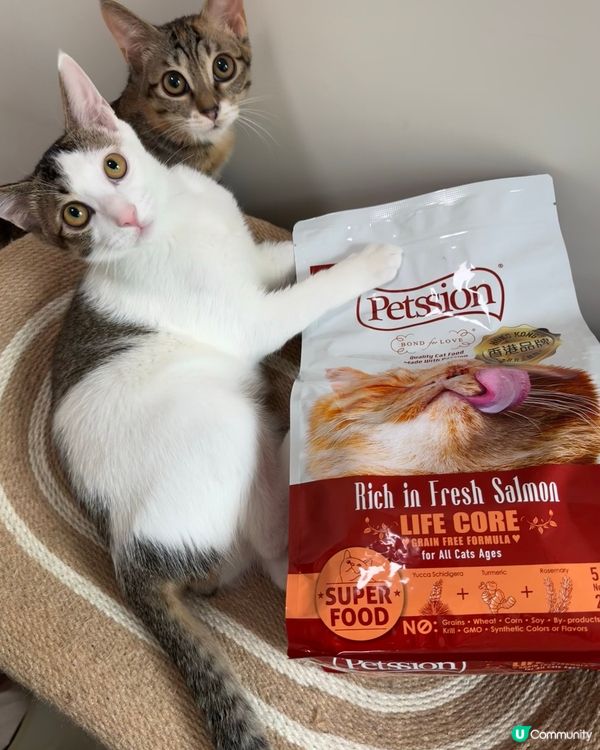 本地品牌Petssion❤️貓糧試食