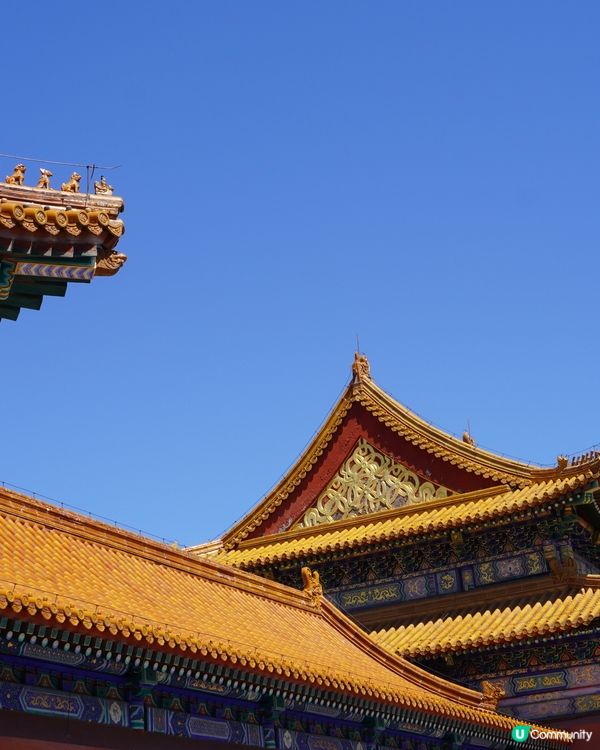 揭開故宮的秘密，漫遊紫禁城的壯麗宮殿！ 🏯✨