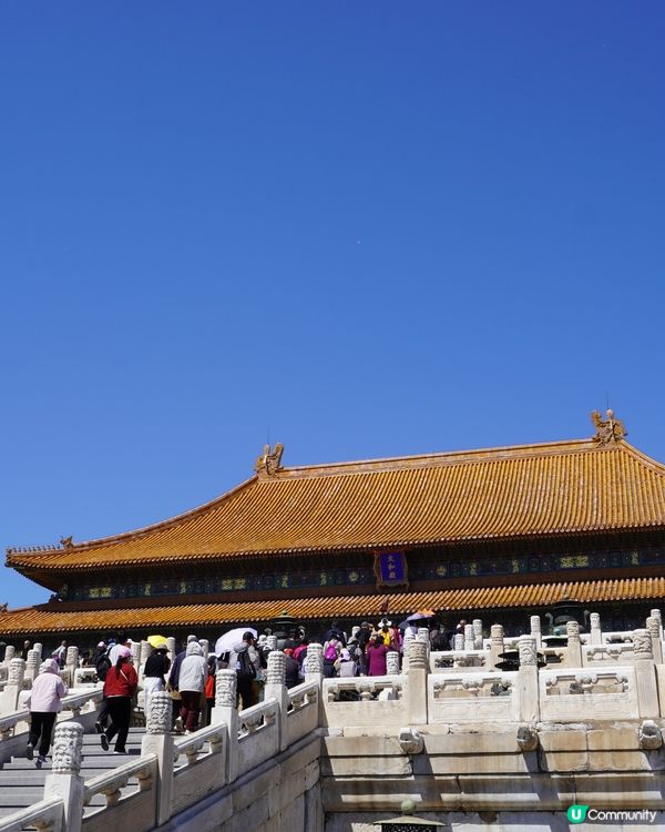 揭開故宮的秘密，漫遊紫禁城的壯麗宮殿！ 🏯✨