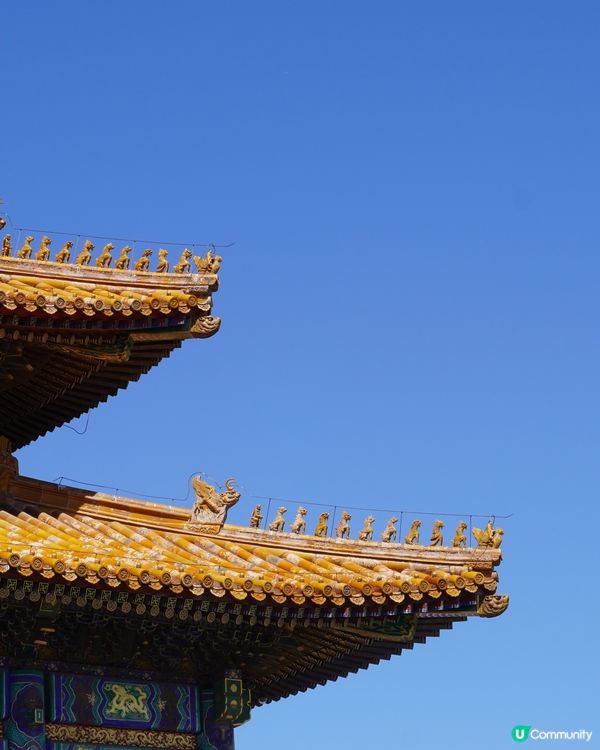 揭開故宮的秘密，漫遊紫禁城的壯麗宮殿！ 🏯✨