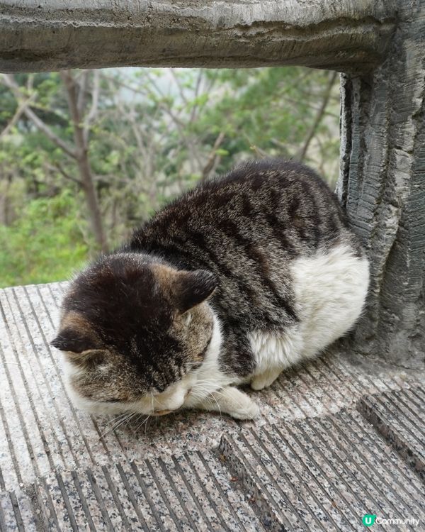 慕田峪長城，雨霧中的壯麗 🌫️🏯