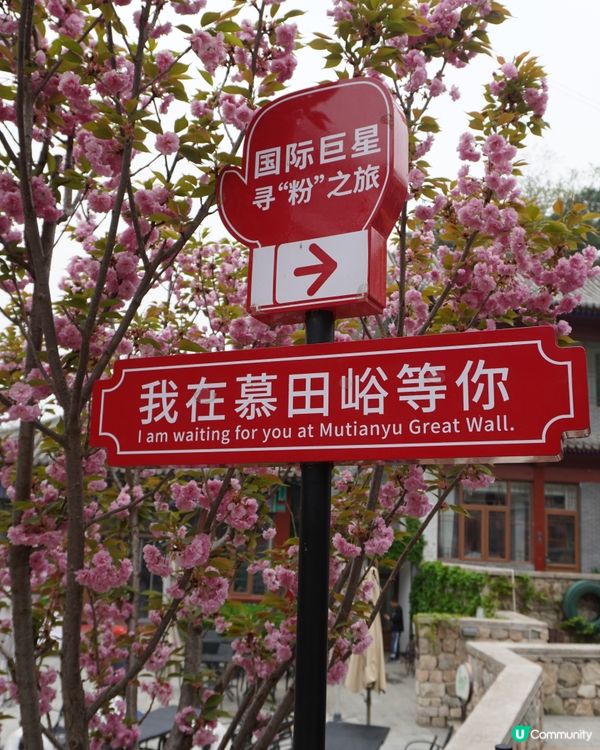 慕田峪長城，雨霧中的壯麗 🌫️🏯