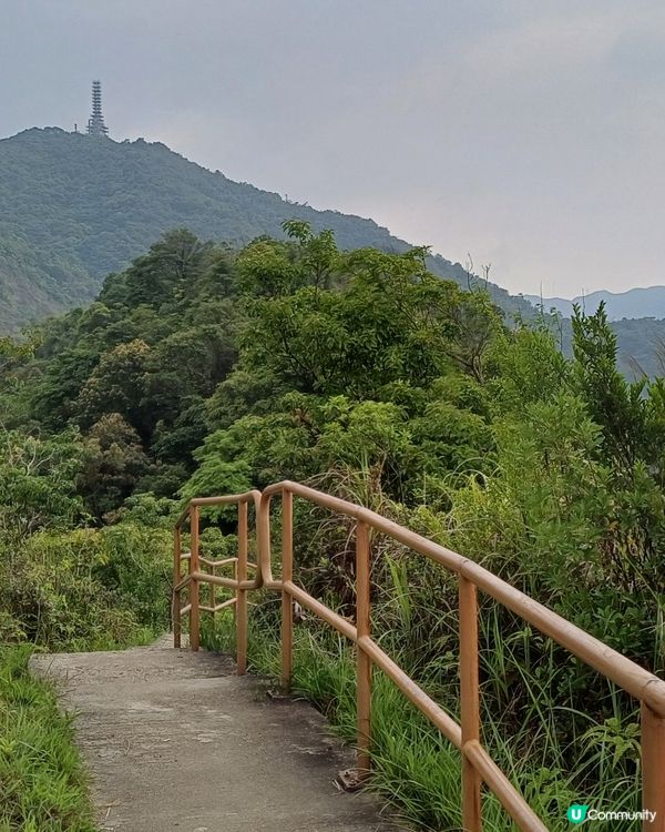 繼續 大埔頭 九龍坑山