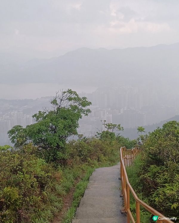 繼續 大埔頭 九龍坑山