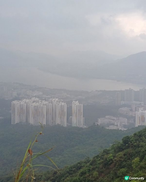 繼續 大埔頭 九龍坑山