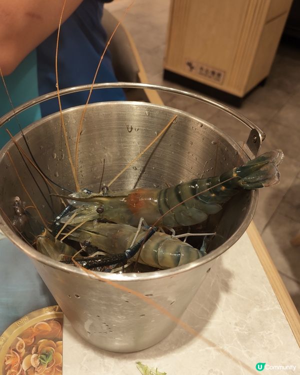 荃灣千海水產放題🦞 食到停唔到手！🤤