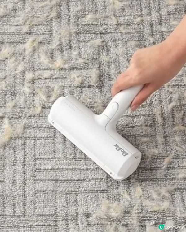 清潔滾輪除毛刷