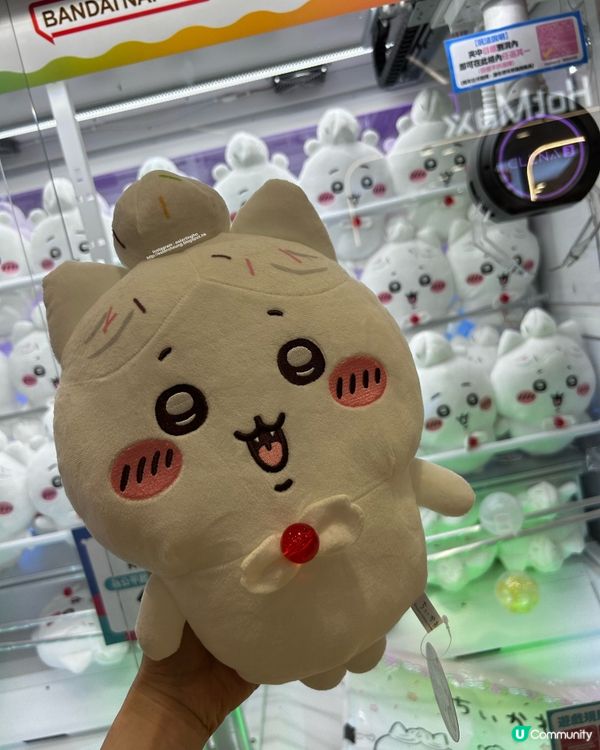 今日戰利品 💕 Chiikawa 生日造型公仔