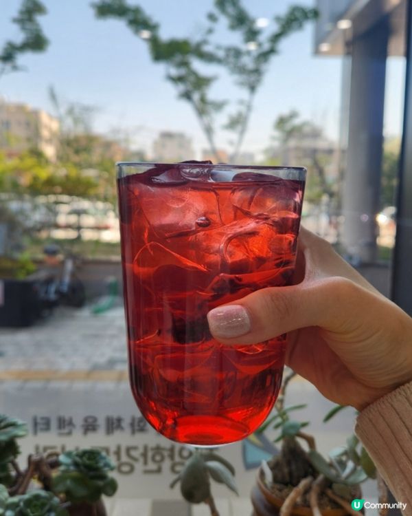 🇰🇷韓國纛島書店咖啡廳推薦！必試蟹肉鹽麵包三文治～