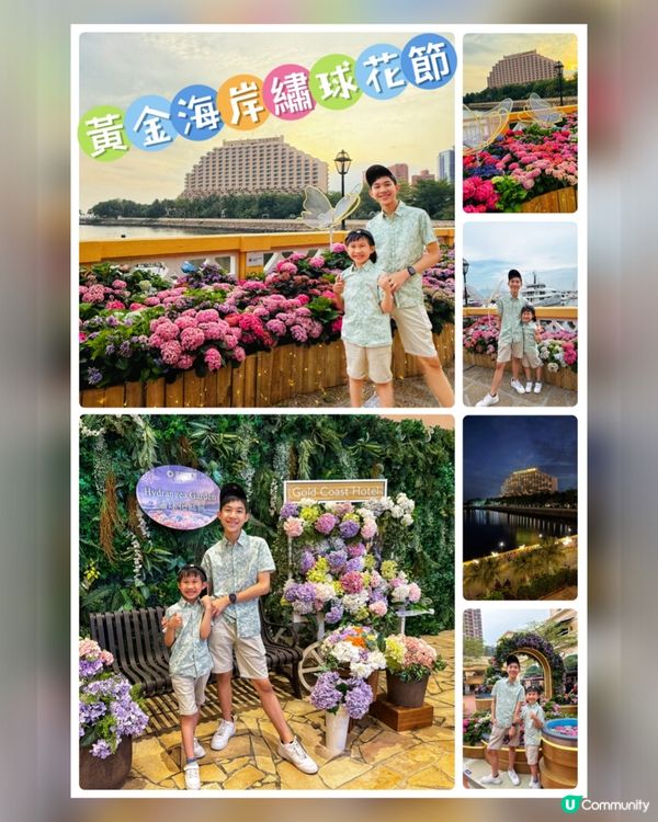 黃金海岸繡球花節