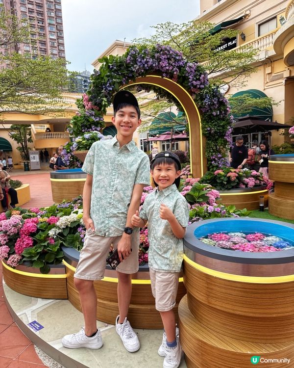 黃金海岸繡球花節