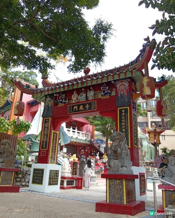 ☀️充滿異國風情淺水灣暢泳，消暑一流！🏖️