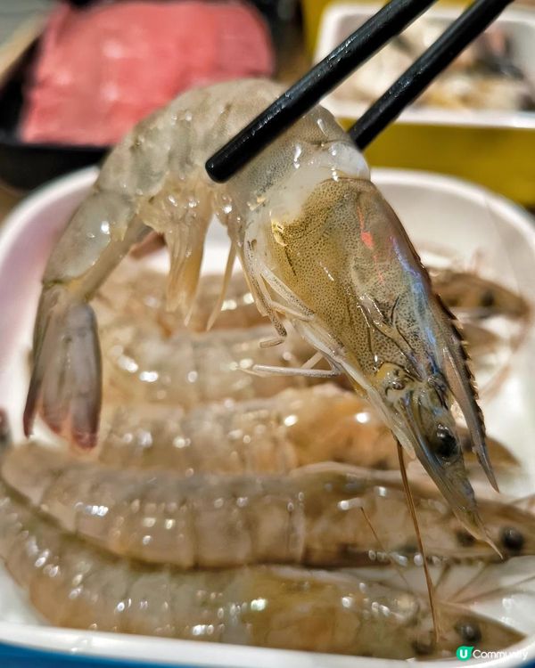 無限時の任食多花款火鍋🤩🤩