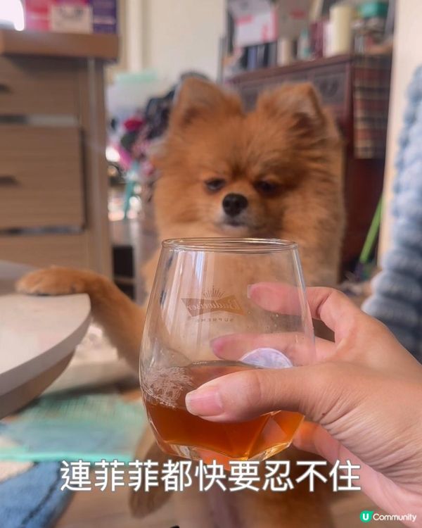 來試試「呼你旺」滴雞精🐣