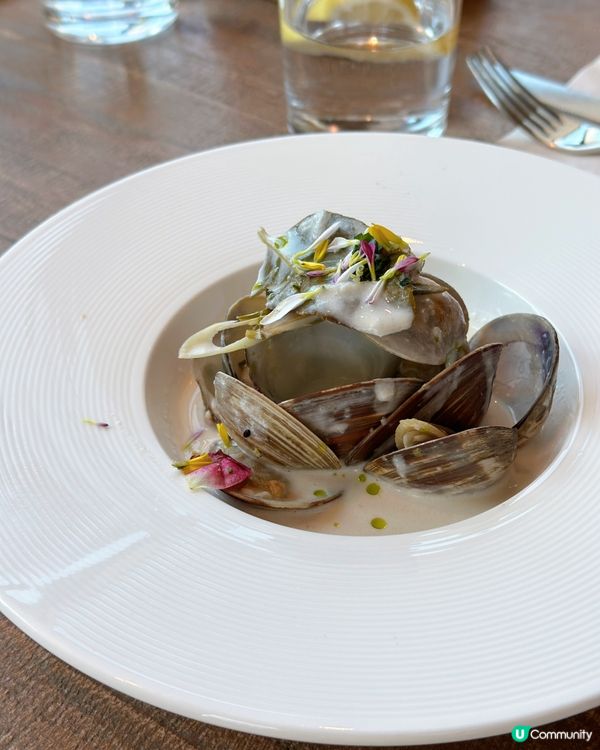 靚景泰菜🇹🇭 