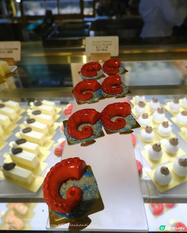 【吃下自助餐】鮮甜龍蝦蟹腳慶生buffet - 富麗敦海洋公