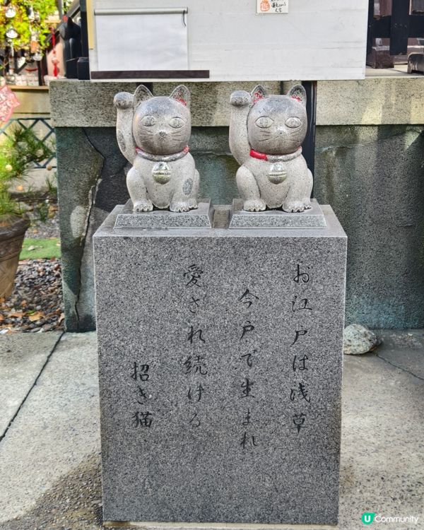今戶神社，貓奴必到