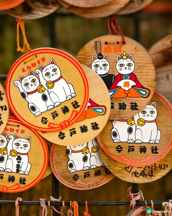 今戶神社，貓奴必到