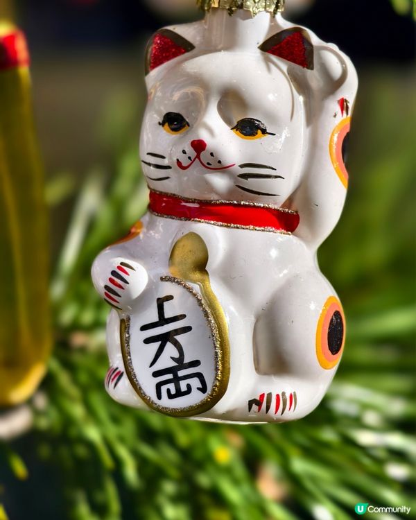 今戶神社，貓奴必到