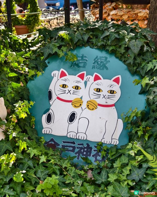 今戶神社，貓奴必到